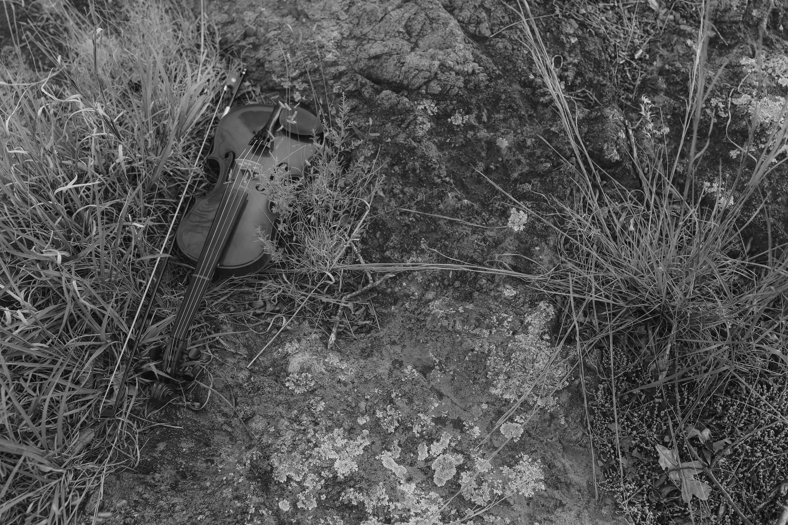 The violin resting in tall grass on the granite, bow at its side