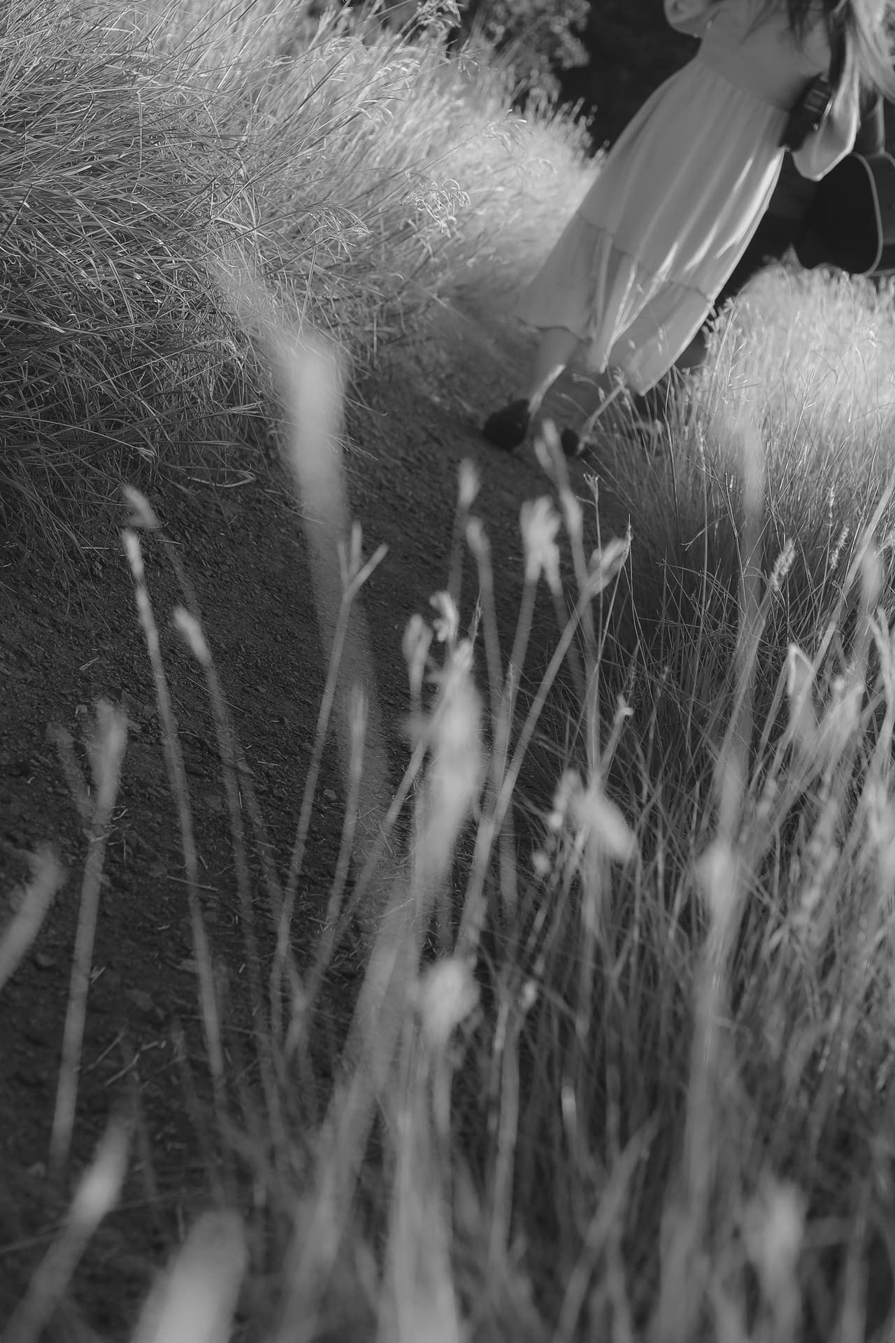 Her white dress passing through backlit grasses along the trail