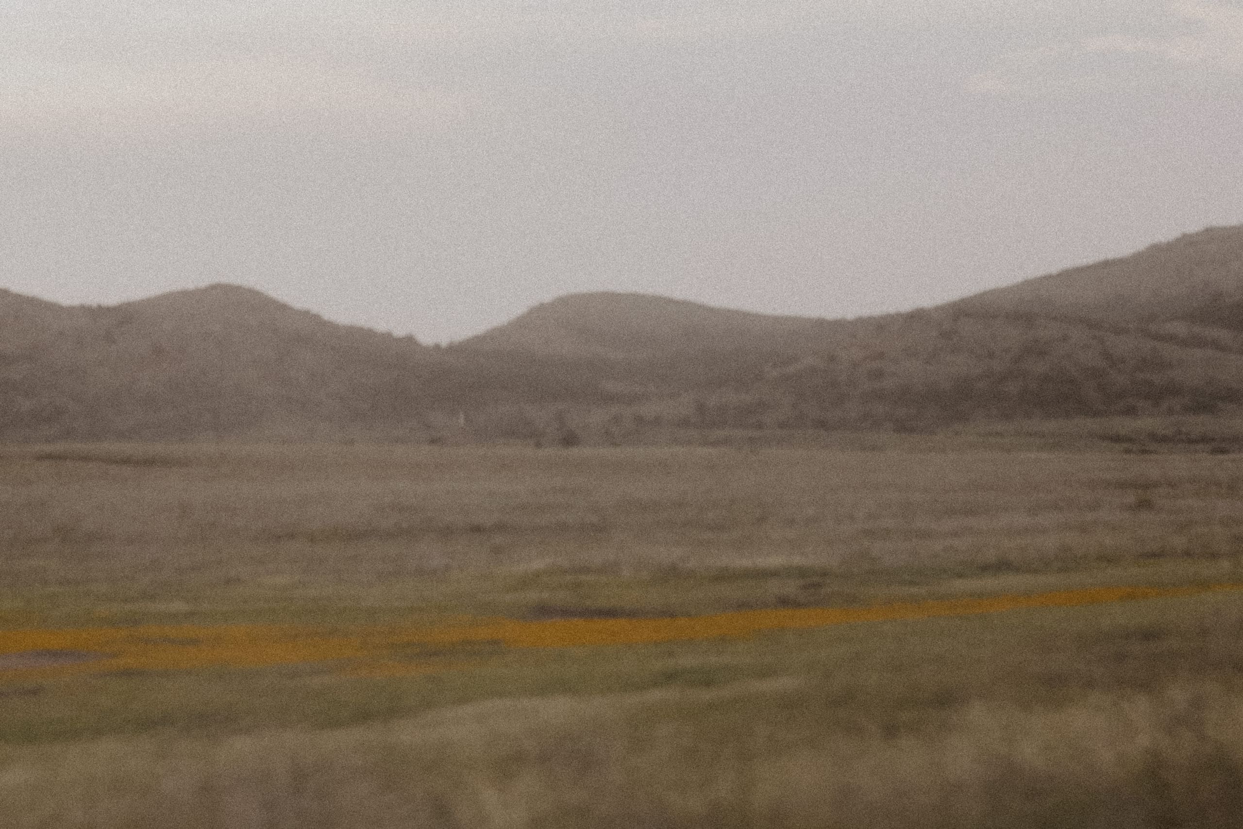 A hazy valley of hills with a ribbon of orange wildflowers