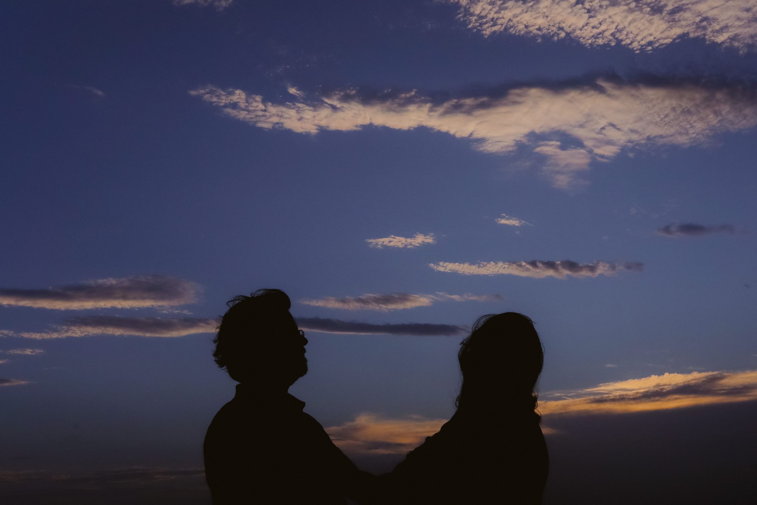 Silhouettes side by side under a deep blue twilight sky