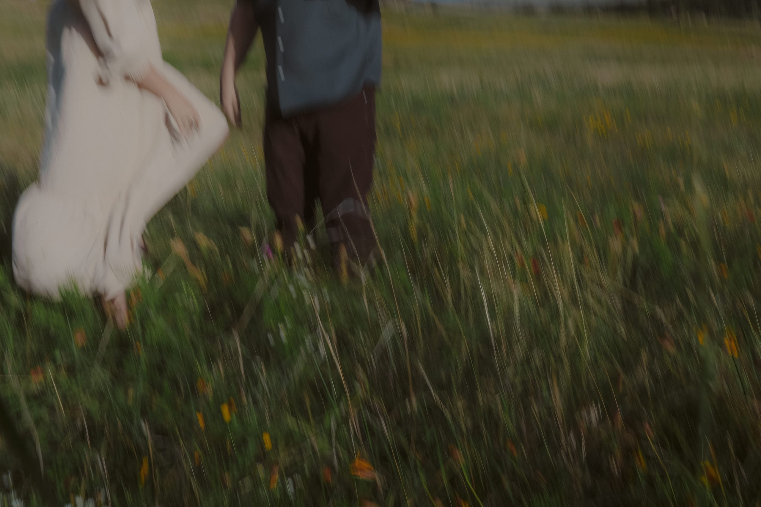 Soft blur of two figures moving through tall grass and wildflowers