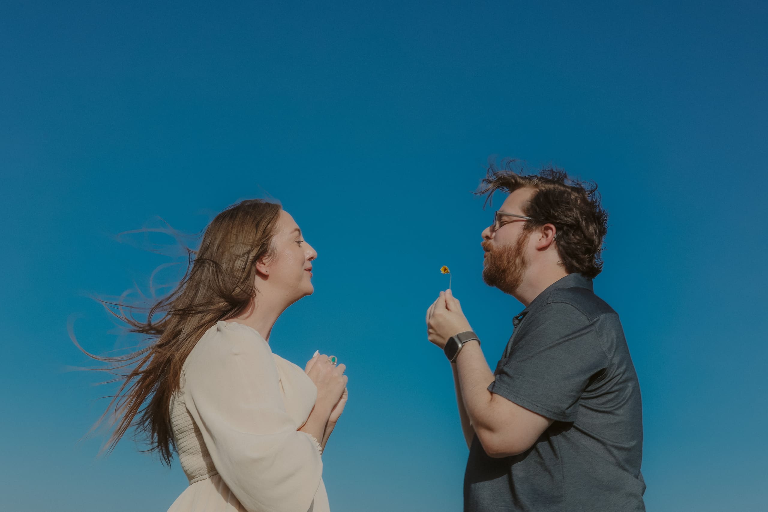 He holds up a wildflower between them, wind lifting her hair