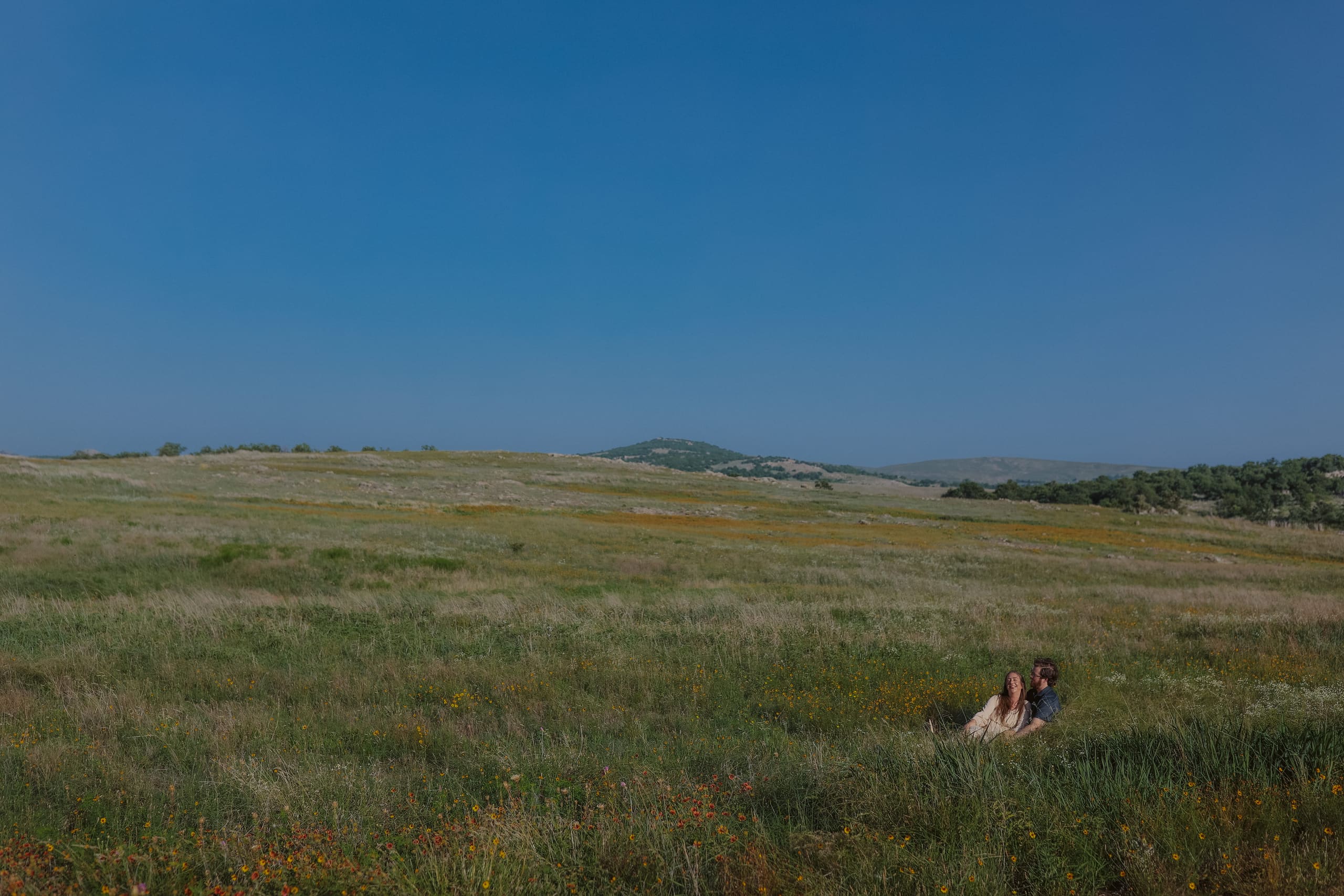 Nestled together in the tall grass, the meadow stretching to distant hills