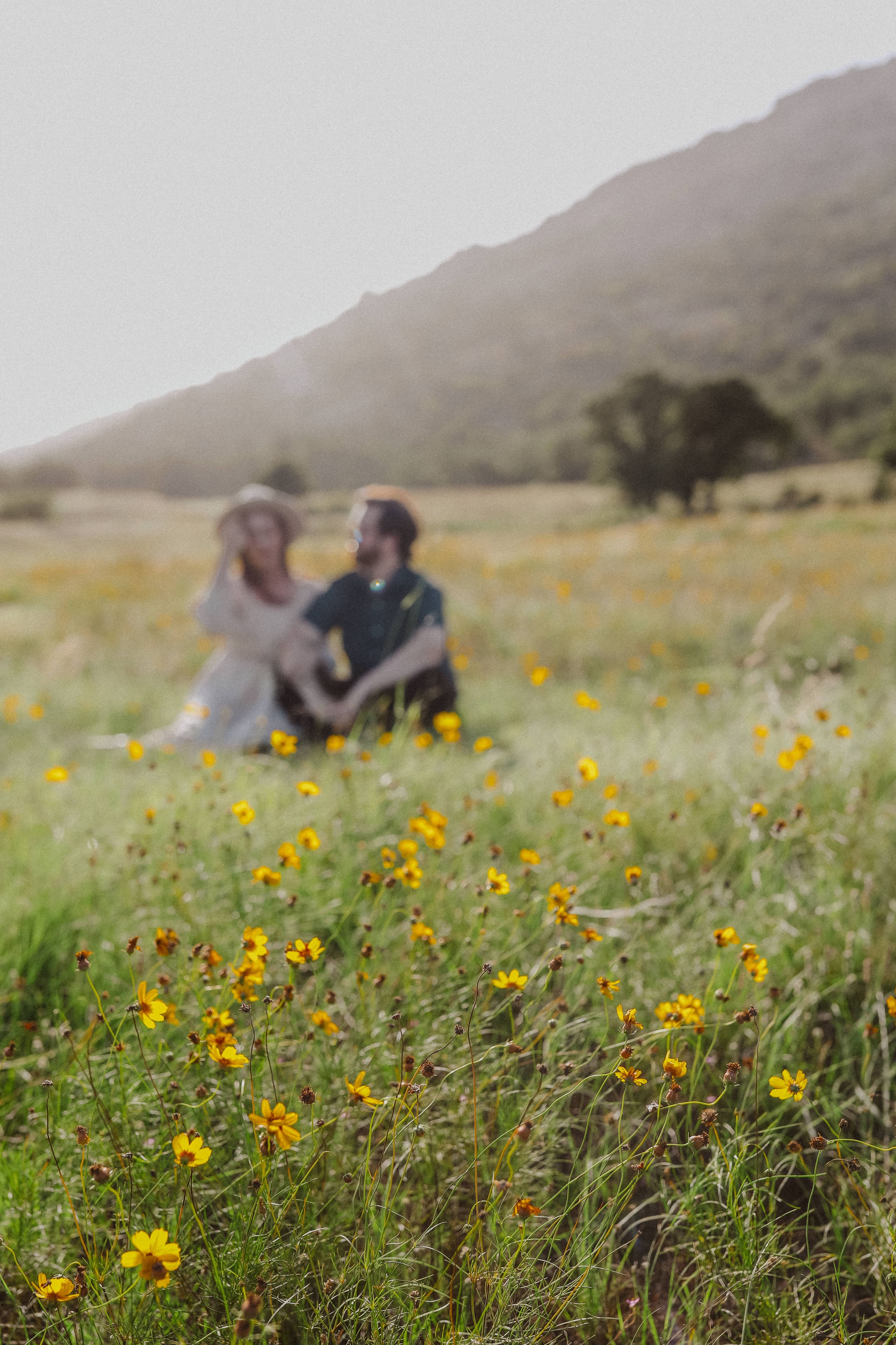 Seated together beyond a foreground of yellow wildflowers, mountain rising behind